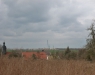 p1030511
