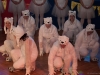 Familienfasching-0500