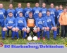 fussball1_2009